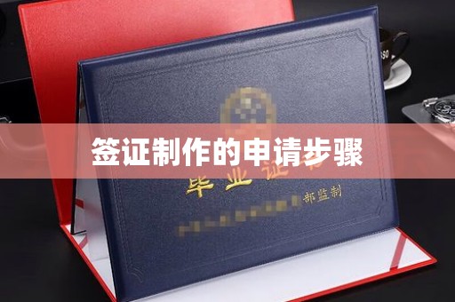 丹江口签证制作的申请步骤