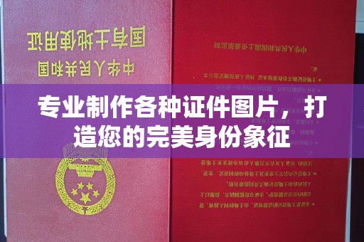 丹江口专业制作各种证件图片，打造您的完美身份象征